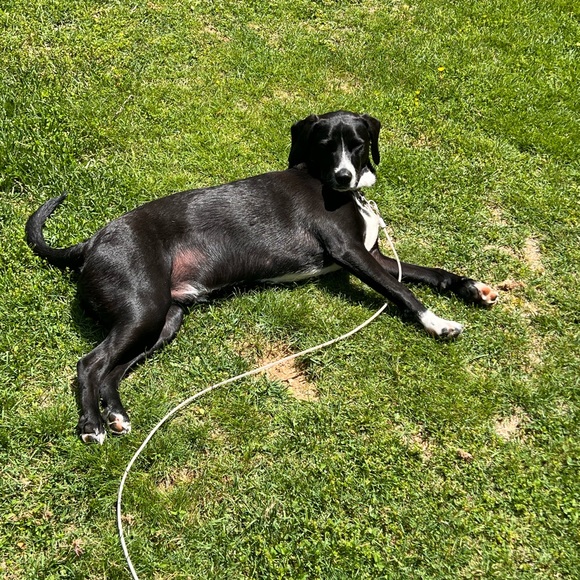 Meet your Posher, Krystal - Picture 5 of 6